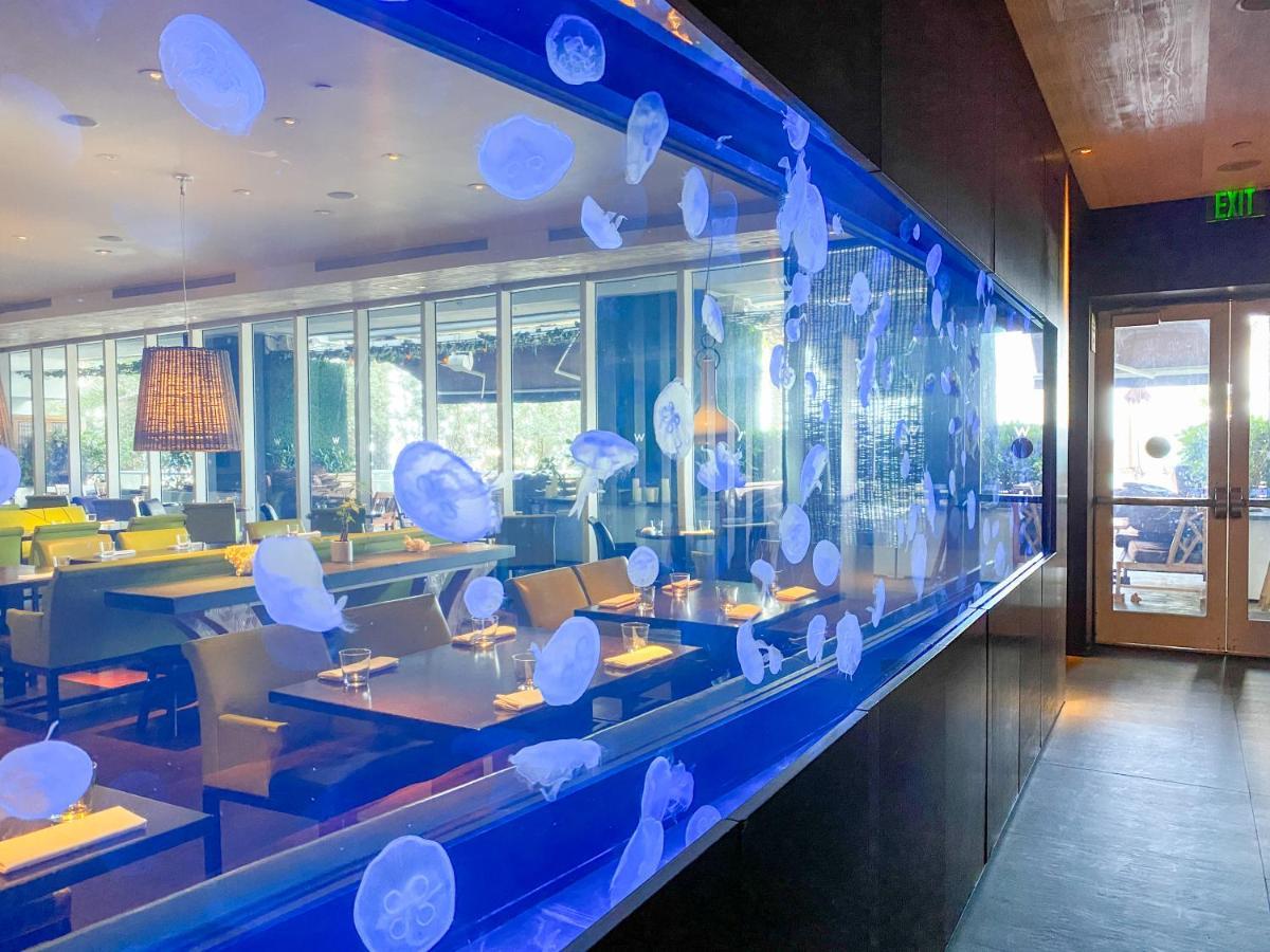 W Residences Fort Lauderdale Luxury Suites Across From Fort Lauderdale Beach 外观 照片